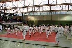 ARGAZKI GALERIA: Euskal kirolaren eguna