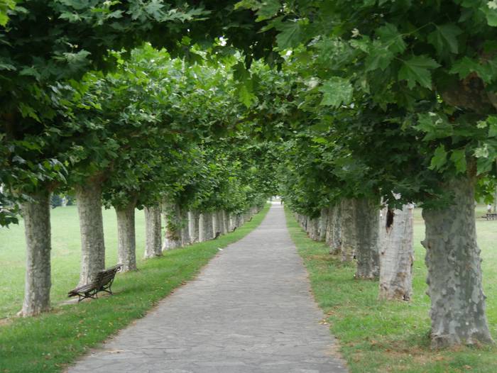 Arbietoko atsedengunean mahai eta komunak daude