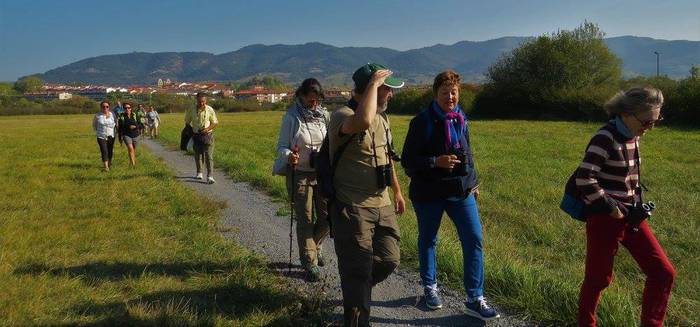 Hegaztiak ezagutzeko txangoa 12 1508074284947