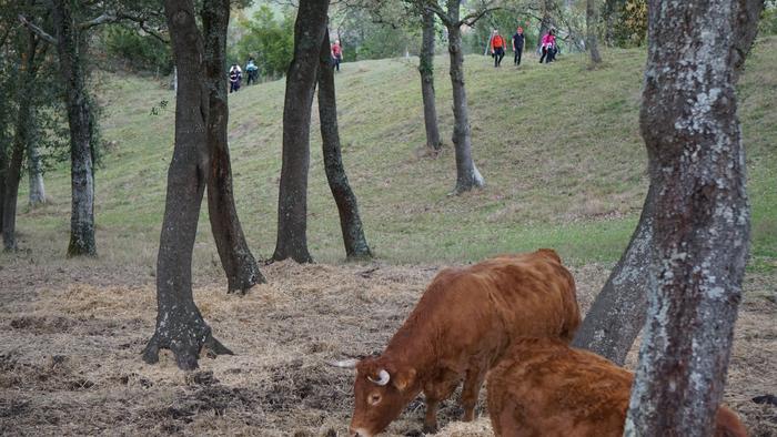 Omenaldiek bereziki hunkigar 63 1765402990661