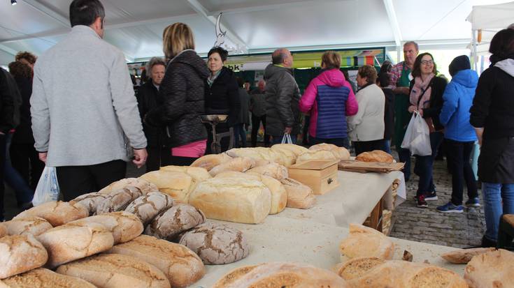 Ekoizle ekologikoek hartu zuten Foru plaza larunbatean