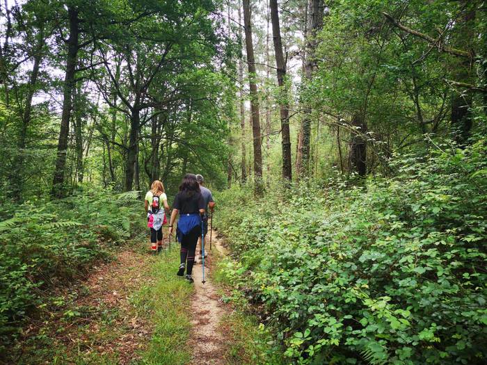 Errefuxiatuen aldeko elkarta 14 1529303071379