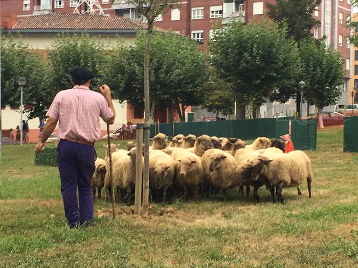 Castellersek, bertsolariek,  42 1503689573037