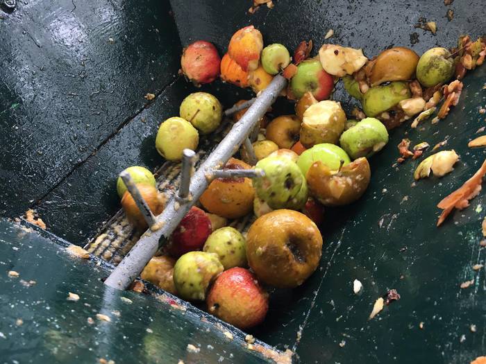 Laudioko Sagar Eguna 29 1509299858846