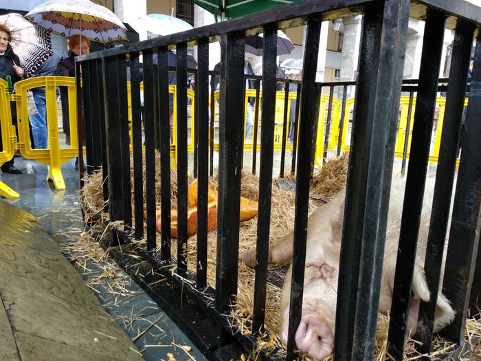 Tomasa XI. sanblasetako prot 10 1517485246401