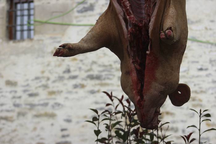 Ehunka ekoizlek eta bisitari 42 1516542038454