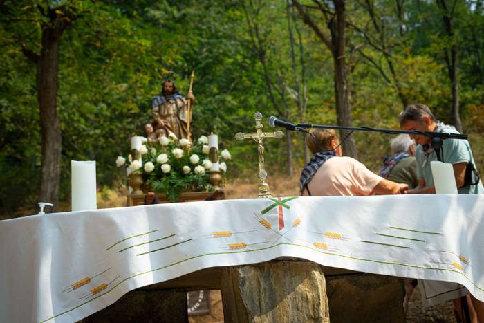 San Rokeko zelaiak bilakatu  16 1755350456032