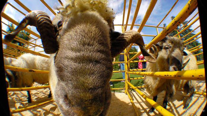 Eguraldia lagun, arrakastats 17 1505716684577