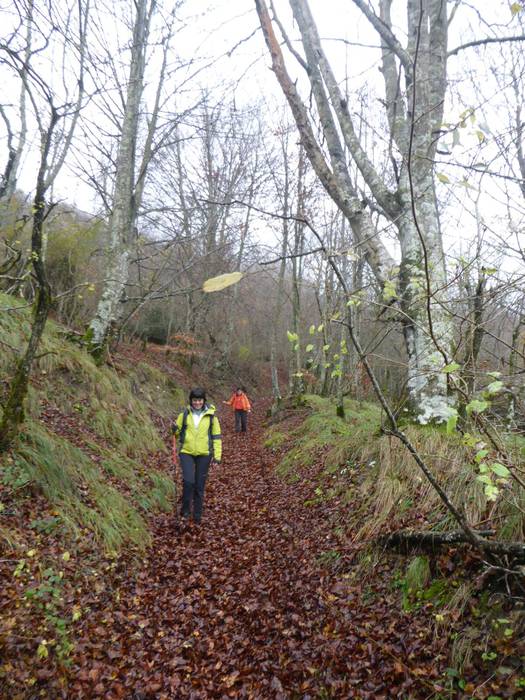 Laino artetik Santa Elena me 31 1511892667323