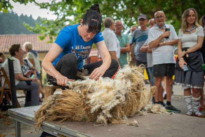 San Roke inguruan eman diete 13 1755434197280