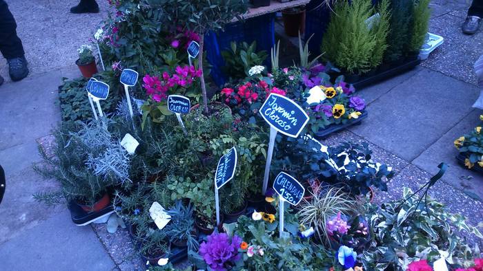 Tokiko ekoizleak eta enkatea 20 1485165341430