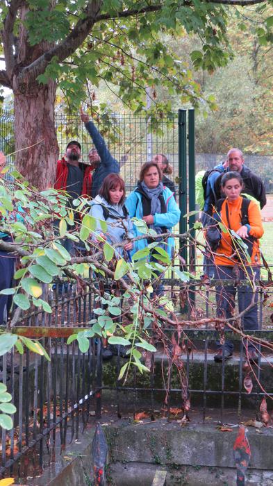 Herriko egitura geologikoa e 22 1508827199390