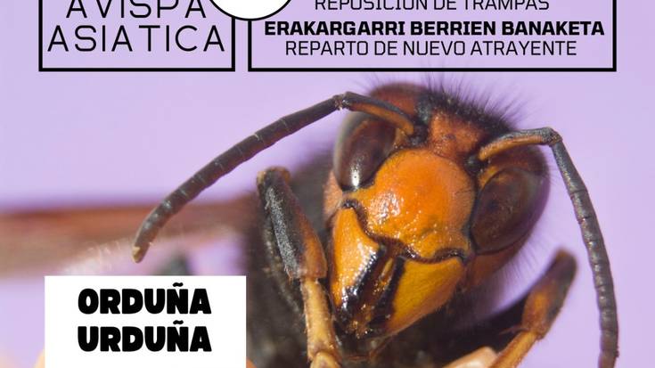 Liztor asiarrari buruzko berbaldia