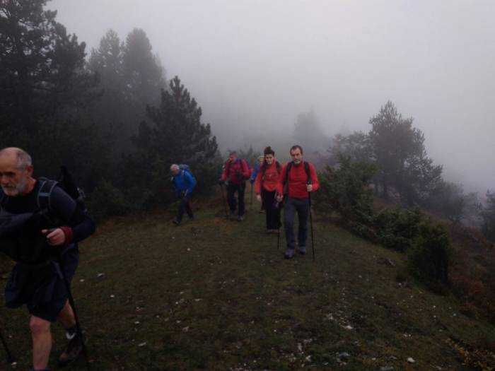 Laino artetik Santa Elena me 35 1511892693604