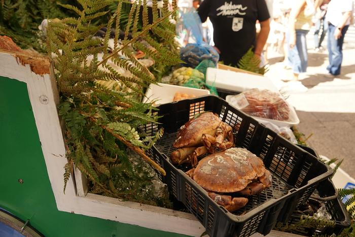 Baserritar Eguneko saltokiek 55 1756478807780