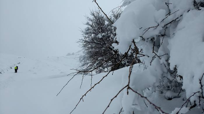 Gorbeialdea eta Orozko, elurtuta