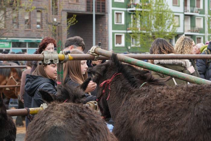 Euriak ez du zapuztu Dolumin 18 1774623107611