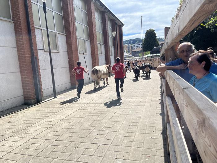 Kultura eta kale jarduera ug 83 1756589011028