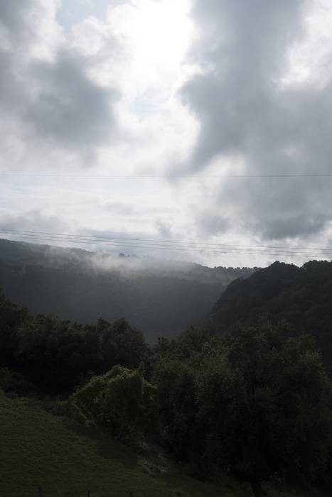 Herriko gazteak elkartu ditu 48 1535701427598