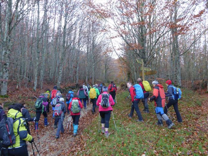 Laino artetik Santa Elena me 6 1511892486284