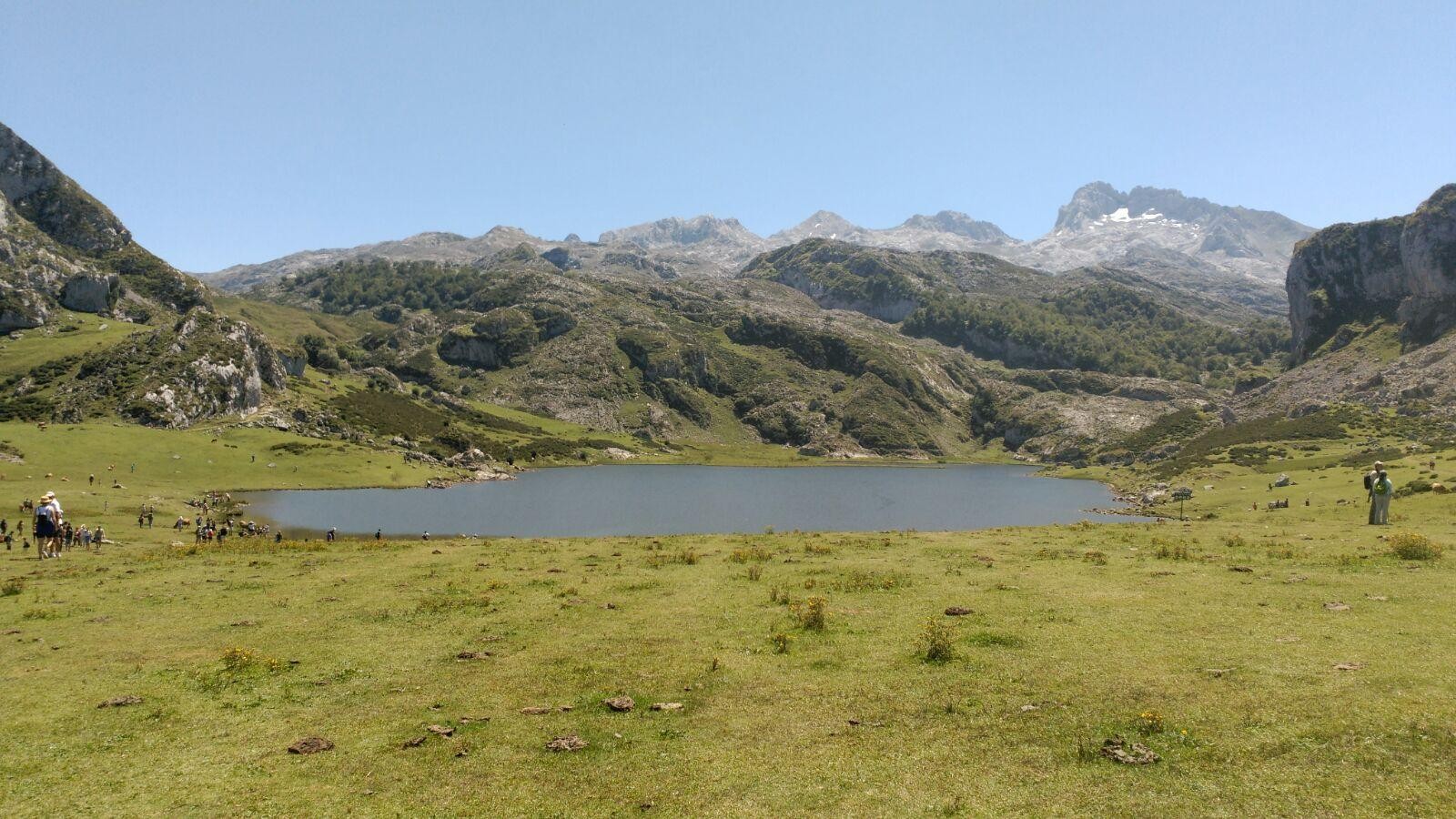 Covadongako aintzirak, Asturias