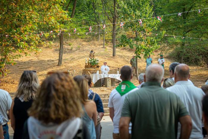 San Rokeko zelaiak bilakatu  8 1755350439826