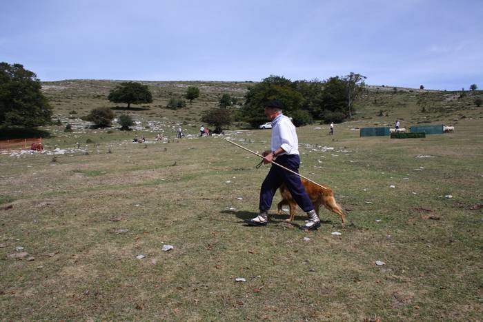 Sanbitoresak ospatzeko ehunk 67 1504510337321