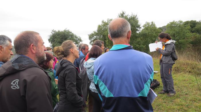 Herriko egitura geologikoa e 44 1508827908502