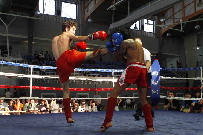 Euskal Herria-Palestina borr 19 1527490999119