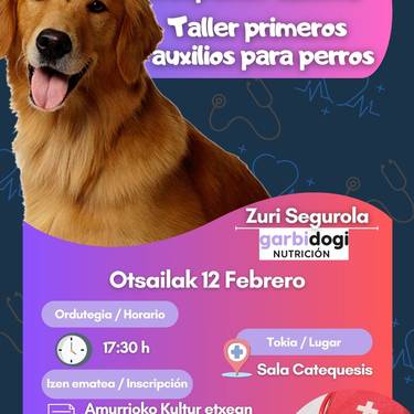 Txakurrentzako lehen sorospenen tailerra