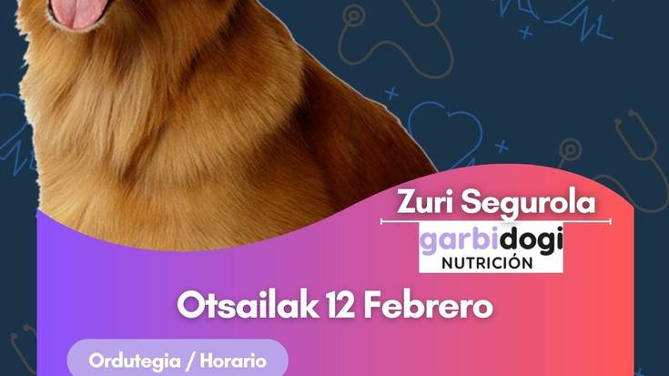 Txakurrentzako lehen sorospenen tailerra