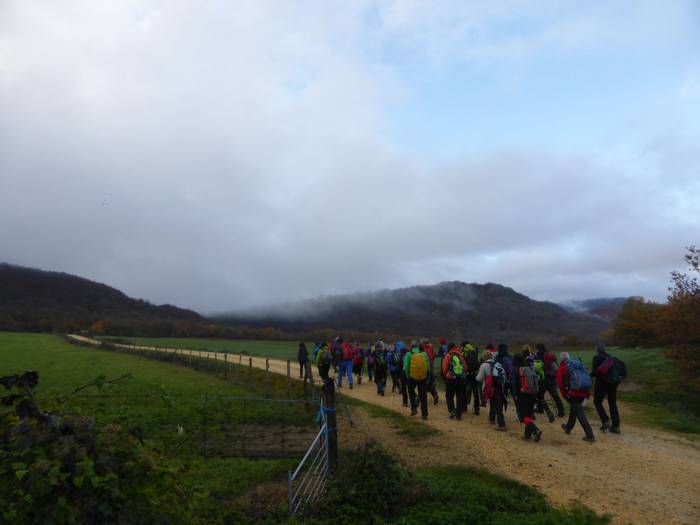 Laino artetik Santa Elena me 5 1511892477382