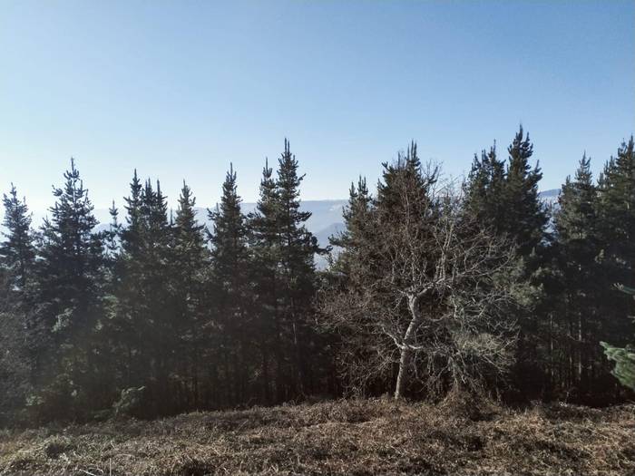 Luiaondotik Amurriora gailur 4 1676536352655