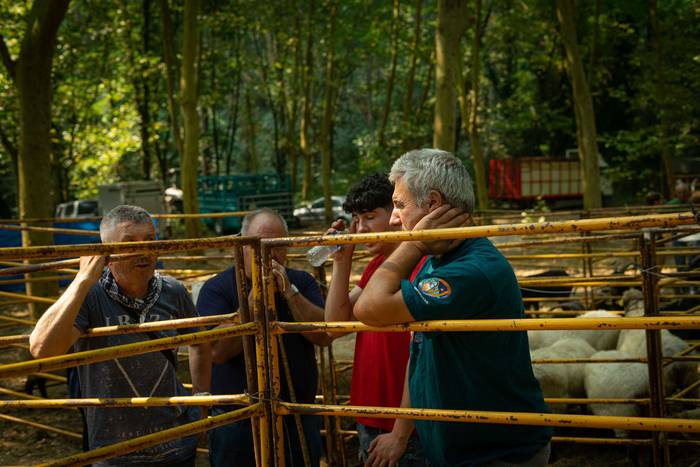 San Rokeko zelaiak bilakatu  28 1755350482914