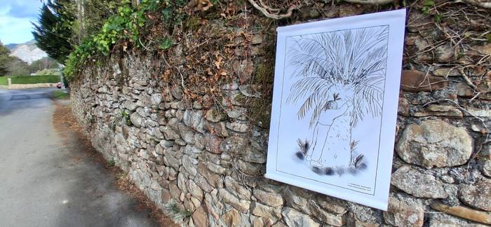 Natura eta artea, batuta 7 1763760134977