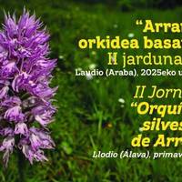 “Arrañoko orkidea basatiak” jardunaldien II. edizioa