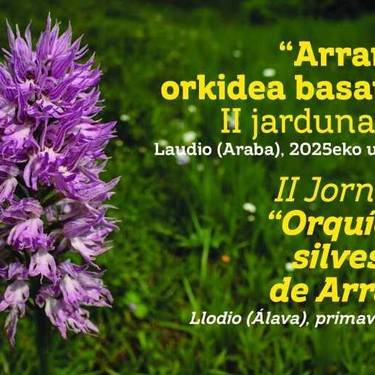 “Arrañoko orkidea basatiak” jardunaldien II. edizioa