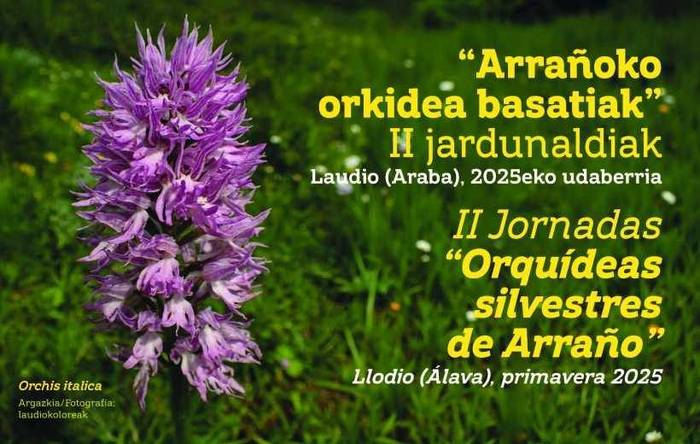 “Arrañoko orkidea basatiak” jardunaldien II. edizioa