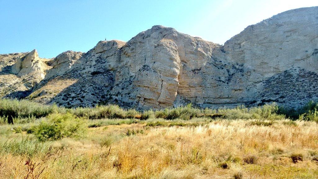 Edo harresi (itxuraz) garaiezinek (Zaragoza)