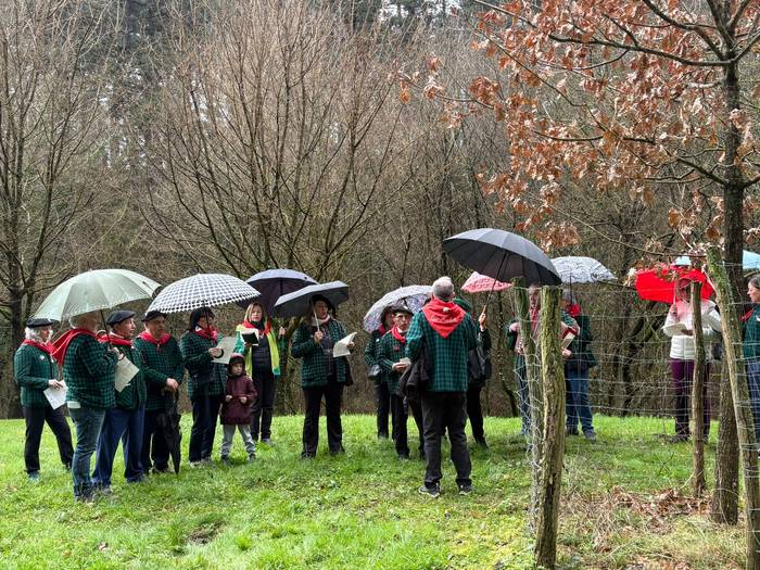 Gernikako zuhaitzaren kimua  18 1770844196968