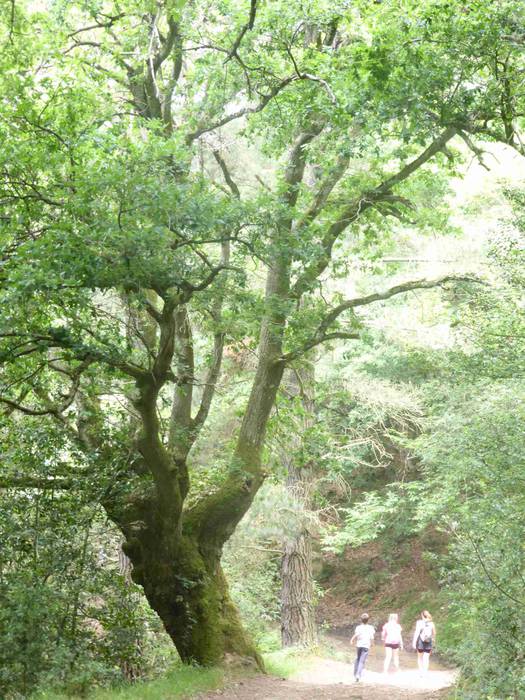 Astelehenerarte luzatu ziren 5 1496393889480