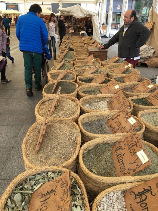 Galiziar letren jaia