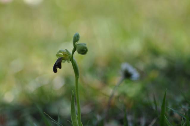 Itzultzeak 5 1619015039214