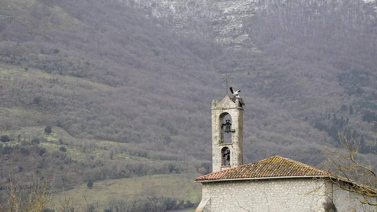 Zikoinak sasoi berria hasteko prest