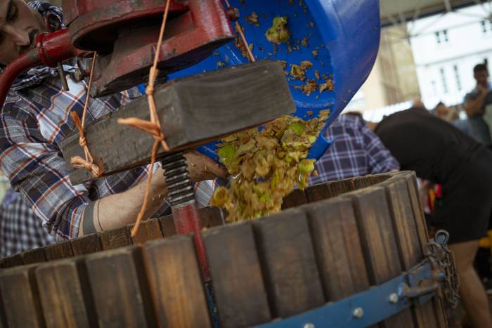 Sagarraren tradizioa plazara 13 1759588492694