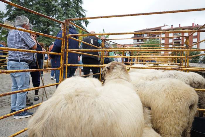 Yolanda Elosegui, Maria Ange 13 1758471072959