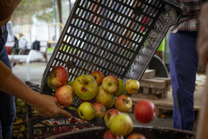 Sagarraren tradizioa plazara 23 1759588513885