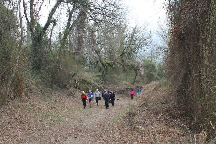 Jende ugarik parte hartu zue 3 1490023998793