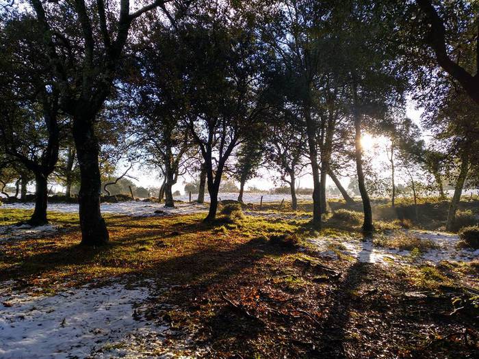 Elur gainean egin zuten Sara 9 1512470452926