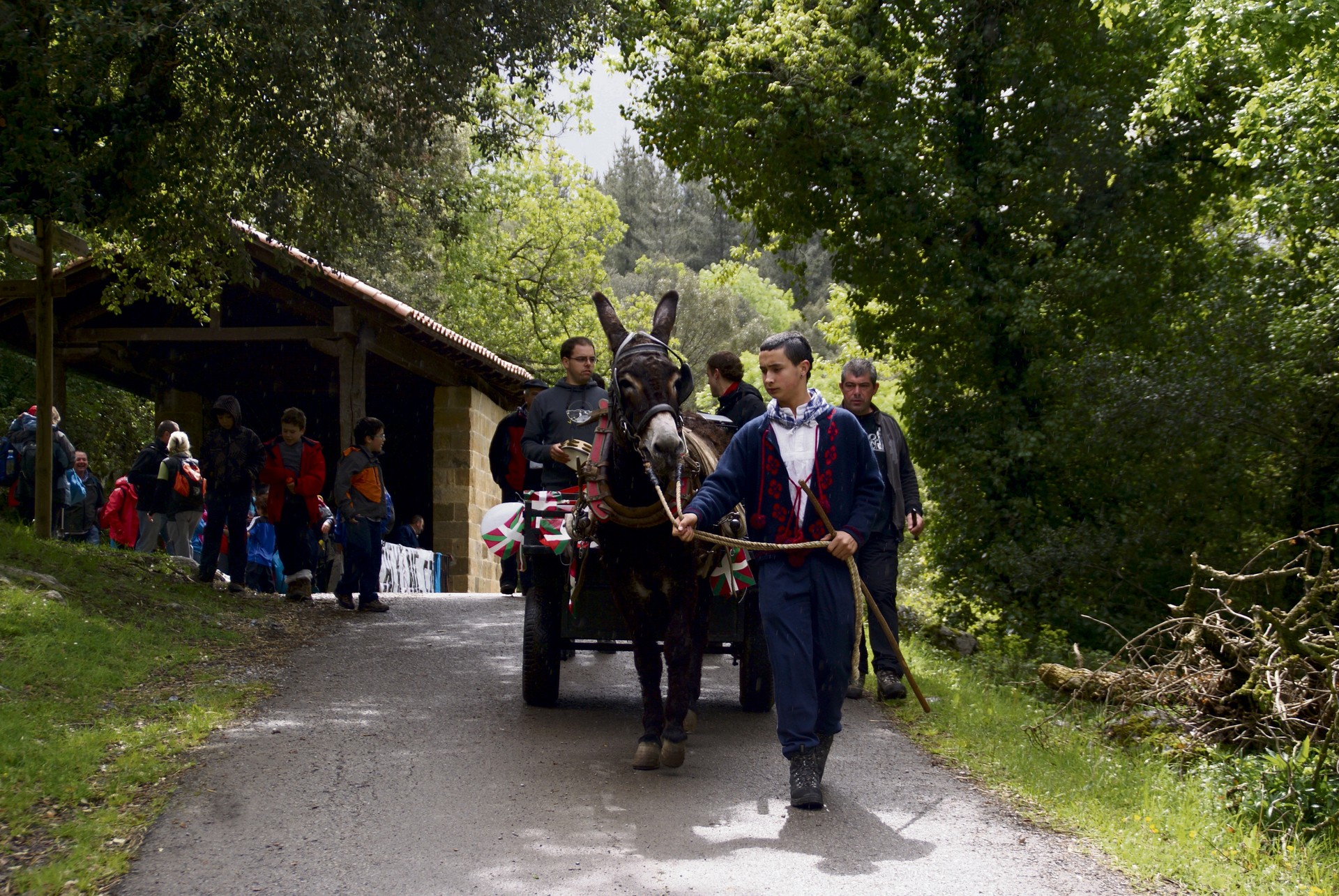 Lau egunez luzatuko dira Santa Luziako Jaiak